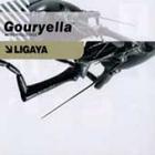 Gouryella - Ligaya (The Hardstyle Remixes) (Vinyl)