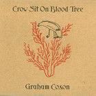 Graham Coxon - Crow Sit On Blood Tree
