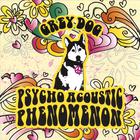 greydog - psycho acoustic phenomenon