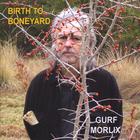 Gurf Morlix - Birth to Boneyard
