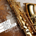 Guru Josh Project - Infinity (CDM)