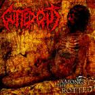 Amongst The Rotted (EP)