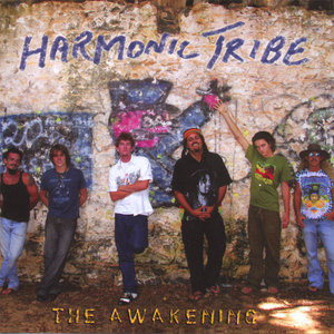 THe Awakening