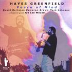 Hayes Greenfield - Peace of Mind