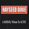 Hayseed Dixie - A Hillbilly Tribute to AC/DC