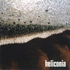 Heliconia - Glad You Were Born