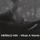 Herald Nix - What A World