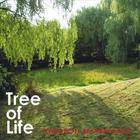 Hirotoh Morikawa - Tree Of Life