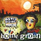 Home Groan - Astrodome