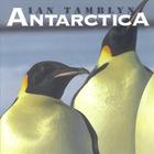 Ian Tamblyn - Antarctica