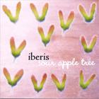 Iberis - Sour Apple Tree