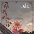 ide - apologies for spilling paint