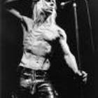 Iggy & The Stooges - The Stooges