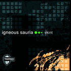 Igneous Sauria - Skint