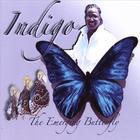Indigo - The Emerging Butterfly
