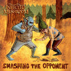 Infected Mushroom - Smashing The Opponent (CDS)