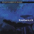 infinite number of sounds - Radio Whales