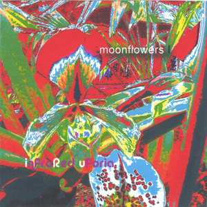 moonflowers I