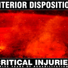 Interior Disposition - Critical Injuries Five Years Of Rehabilitation