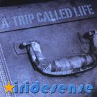 Iridesense - A Trip Called Life