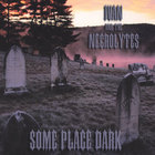 Ivan and the Necrolytes - Some Place Dark