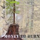Jackie Morris - Money to Burn