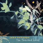 Jake Schepps - Ten Thousand Leaves