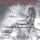 james carroll - A Big House