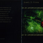 James D. Stark - Dying Beauty (Single)