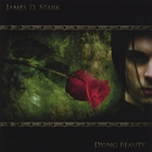 James D. Stark - Dying Beauty Maxi-Single