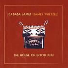 James Whetzel - The House of Good Juju