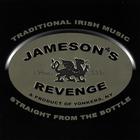Traditional Irish Music-Straight From The Bottle