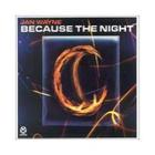 Jan Wayne - Because The Night (Single)