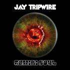 Jay Tripwire - Gemini Soul CD