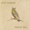 Jeff Hanson - Madam Owl