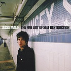 Jesse Malin - The Fine Art Of Self Destruction
