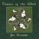 Jim Stewart - Horses of the Wind