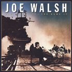 Joe Walsh - You Bought It, You Name It