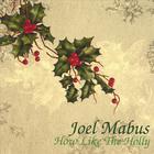 Joel Mabus - How Like The Holly
