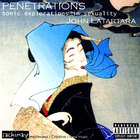 Penetrations: sonic explorations in sexuality