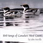 Bird Songs of Canada's West Coast