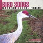 John Neville - Bird Songs-Western Boreal Forest