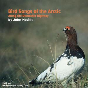 Bird Songs of the Arctic-Along the Dempster Highway