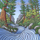 John Nilsen - Where Rivers Run