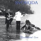John Svoboda - Fundamental Cure