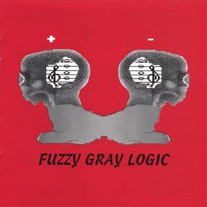 Fuzzy Gray Logic