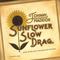 Johnny Maddox - Sunflower Slow Drag