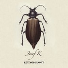 Josef K - Entomology