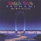 Joseph Welz - TSUNAMI[We Will Survive]