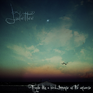 Fragile Like A Bird...Immense As The Universe